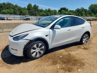 2020 Tesla Model Y 5YJYGDEE3LF023756 Lot 57159386