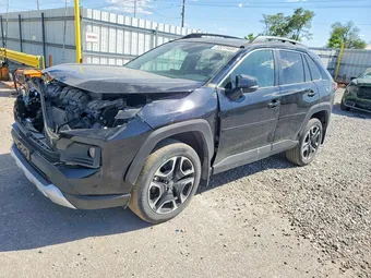 2019 Toyota RAV4 2T3J1RFV7KW033133 Lot 53219406