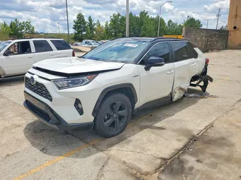 2019 Toyota RAV4 2T3EWRFV4KW034808 Lot 58771126
