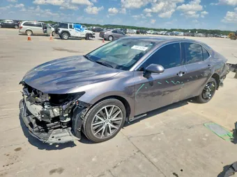 2023 Toyota Camry 4T1F11AK3PU186791 Lot 59815356