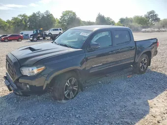 2019 Toyota Tacoma 3TMCZ5AN5KM189772 Lot 59240796