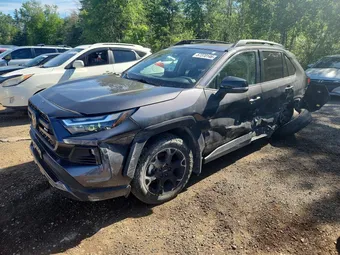 2022 Toyota RAV4 2T3J1RFVXNW290419 Lot 57370146