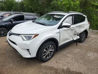 2017 Toyota RAV4 JTMRJREV2HD152346 Lot 60005966
