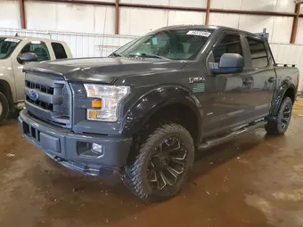 2016 Ford F-150 1FTEW1EP1GFC29598 Lot 58372496