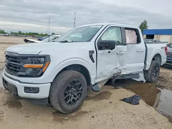2025 Ford F-150 1FTEW3LP1SKE41416 Lot 54139676