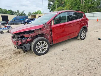 2019 Ford Escape 1FMCU0GD1KUA38127 Lot 56604446