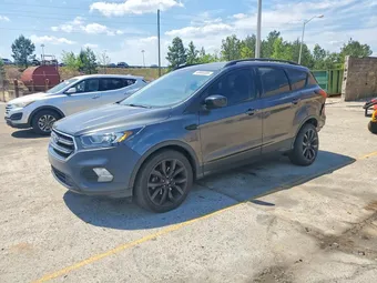 2019 Ford Escape 1FMCU0GD2KUB64027 Lot 49985306