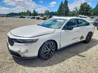 2024 Honda Accord 1HGCY2F81RA041311 Lot 57737466