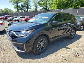 2020 Honda CR-V 5J6RW2H89LL028436 Lot 52347716