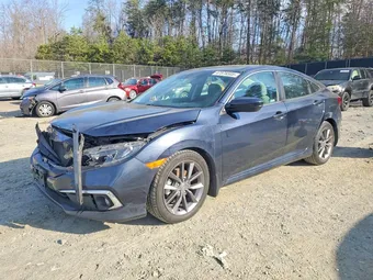 2020 Honda Civic 19XFC1F31LE206254 Lot 47576506