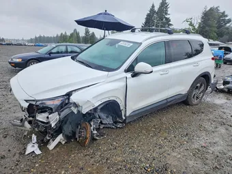 2023 Hyundai Santa Fe 5NMS2DAJ6PH486521 Lot 53556256