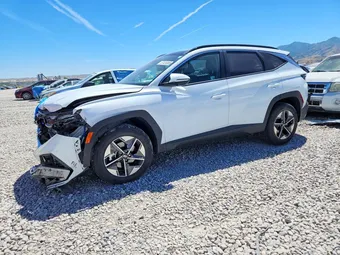 2025 Hyundai Tucson KM8JCDD14SU262438 Lot 57439986