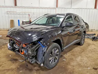 2023 Hyundai Tucson Hybrid KM8JBCA16PU136493 Lot 79982565