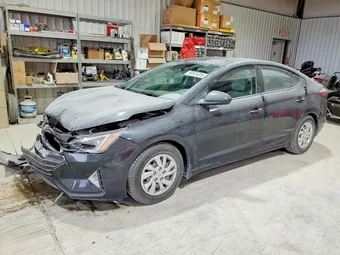 2020 Hyundai Elantra 5NPD74LF7LH558455 Lot 41695186