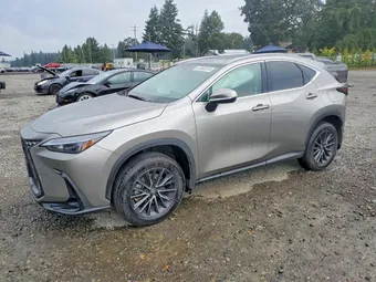 2024 Lexus NX 2T2GKCEZ9RC029741