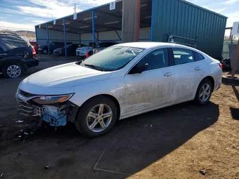 2023 Chevrolet Malibu 1G1ZB5ST3PF248037 Lot 73848965