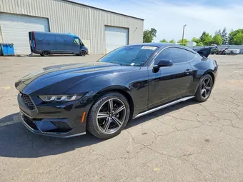 2024 Ford Mustang 1FA6P8TH3R5108950