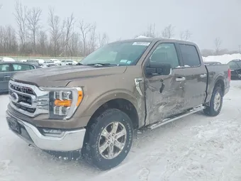 2021 Ford F-150 1FTEW1EP3MKD68585 Lot 76607315