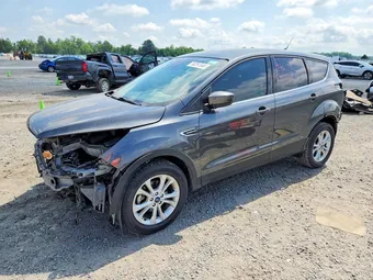 2019 Ford Escape 1FMCU0GD7KUB62466 Lot 58251346