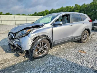 2020 Honda CR-V 7FARW1H57LE020512 Lot 57590106