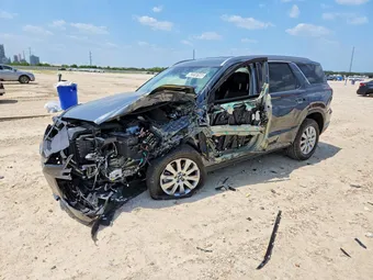 2025 Hyundai Palisade KM8R24GE9SU950164
