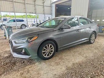 2019 Hyundai Sonata 5NPE24AF8KH750200 Lot 61522246