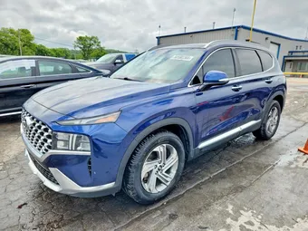 2022 Hyundai Santa Fe 5NMS34AJ3NH443166 Lot 60560266