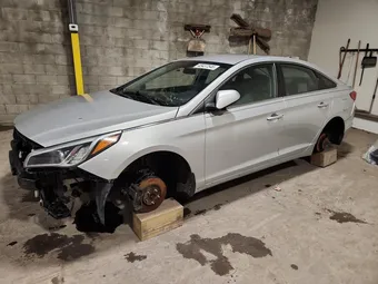 2015 Hyundai Sonata 5NPE24AF3FH083610 Lot 48437546