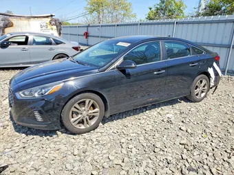 2019 Hyundai Sonata 5NPE34AFXKH796737 Lot 52613206