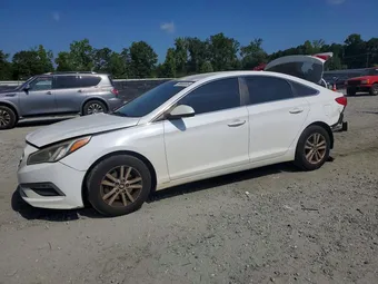 2015 Hyundai Sonata 5NPE24AF7FH190806 Lot 59686506