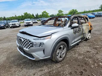 2023 Hyundai Santa Fe 5NMS3DAJ6PH608517 Lot 59067956