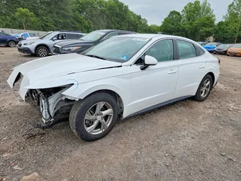 2020 Hyundai Sonata 5NPEG4JA1LH056567 Lot 56278156