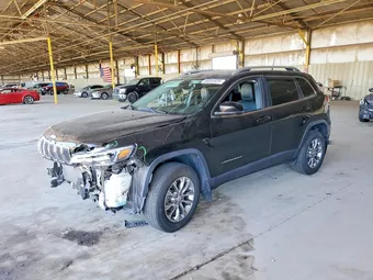 2019 Jeep Cherokee 1C4PJMLN0KD212841