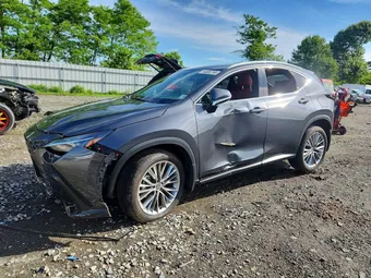 2025 Lexus NX 350 2T2GGCEZ5SC092925