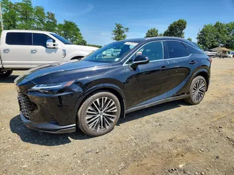 2023 Lexus RX 2T2BAMCA2PC004743 Lot 61670536