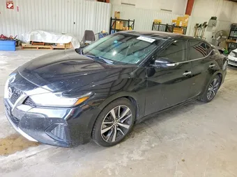 2020 Nissan Maxima 1N4AA6DV8LC373564