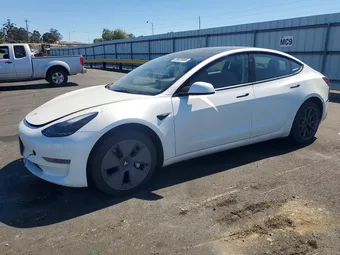 2023 Tesla Model 3 5YJ3E1EA1PF709361 Lot 58620066