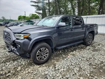 2023 Toyota Tacoma 3TMCZ5AN4PM544034 Lot 54888376