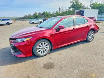2019 Toyota Camry 4T1B11HK4KU784109 Lot 60811856