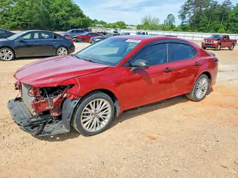 2019 Toyota Camry 4T1B11HK9KU209987 Lot 53010386