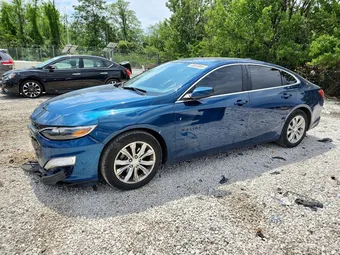 2019 Chevrolet Malibu 1G1ZD5ST0KF213989 Lot 53525806