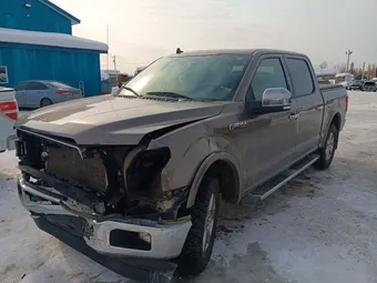 2020 Ford F-150 1FTEW1E48LKE80593 Lot 48210566