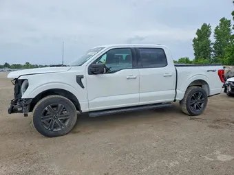 2021 Ford F-150 1FTFW1E86MFC74254 Lot 79134925