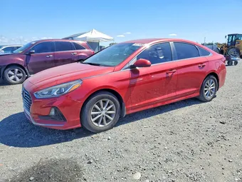 2018 Hyundai Sonata 5NPE24AF8JH643596 Lot 48114806