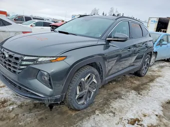 2023 Hyundai Tucson KM8JCCA12PU129344 Lot 76928965