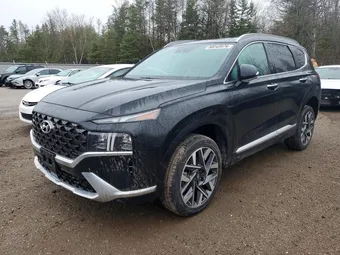 2023 Hyundai Santa Fe 5NMS5DAL7PH573904 Lot 50265976