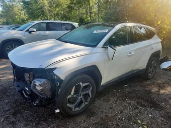 2022 Hyundai Tucson KM8JCCA11NU024985 Lot 58723056
