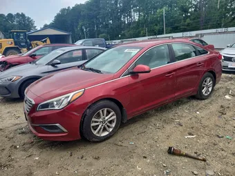 2016 Hyundai Sonata 5NPE24AF1GH290448