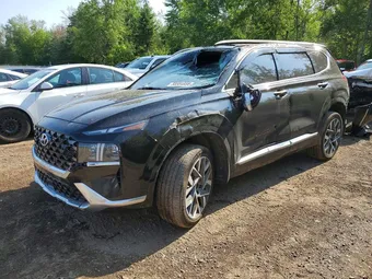 2023 Hyundai Santa Fe 5NMS5DAL0PH490525 Lot 58564056