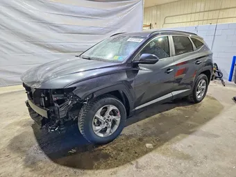 2023 Hyundai Tucson 5NMJBCAE5PH253948 Lot 53372326